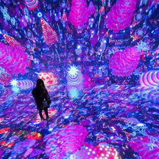 ARTECHOUSE: Spectacular Factory - The Holiday Multiverse 3