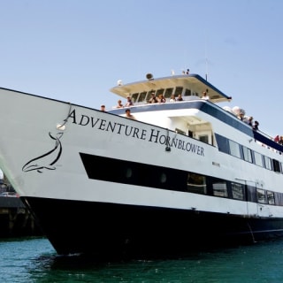 Two-Hour Harbor Cruise & Sea Lion Adventure 2