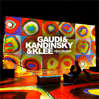 Gaudí, Kandinsky & Klee: Raise Vibration - The Immersive Experience 3