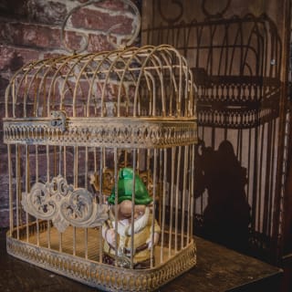 OLD PLAN Escape Game : The Greenhouse 4