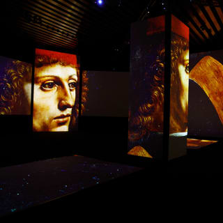 Leonardo Da Vinci: 500 años de genialidad - Puebla 4