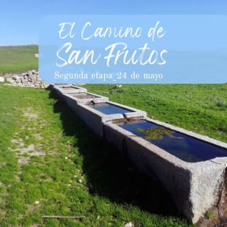 Camino de S. Frutos: 2ª Etapa: Espirdo - Sto. Domingo de Pirón 1