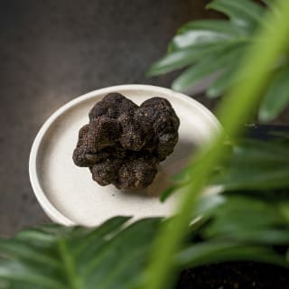 Au79 Truffle Dining Experience in collaboration with Damm Good Catering 1
