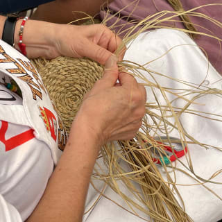 Festival de Campo y SIcampo 2025 2
