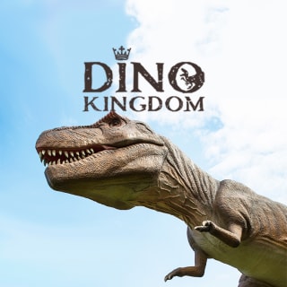 Dino Kingdom Leicester: Infant Tickets 3
