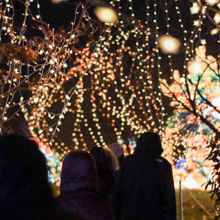 NYC Winter Lantern Festival: Illuminate The Farm 2
