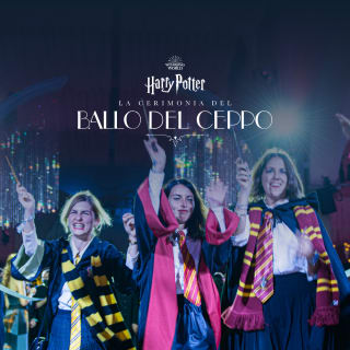 Harry Potter: La Cerimonia del Ballo del Ceppo 2