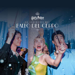 Harry Potter: La Cerimonia del Ballo del Ceppo 3