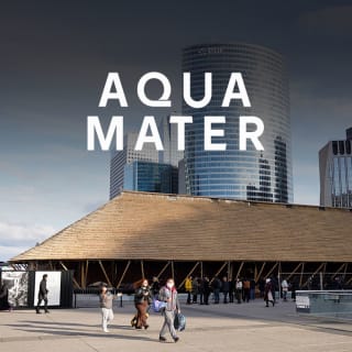 Aqua Mater : Exposition de Sebastião Salgado dans un pavillon en bambou 3