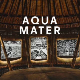 Aqua Mater : Exposition de Sebastião Salgado dans un pavillon en bambou 1