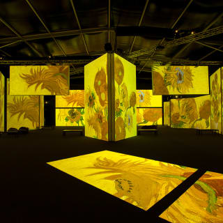 Van Gogh Alive - Una experiencia multisensorial inmersiva 3