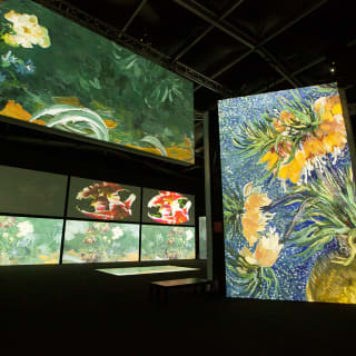 Van Gogh Alive - Una experiencia multisensorial inmersiva 4
