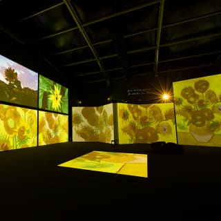 Van Gogh Alive - Una experiencia multisensorial inmersiva 6