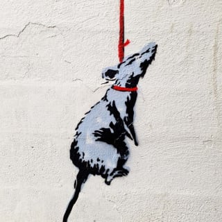 Banksy & Beyond Experience 3