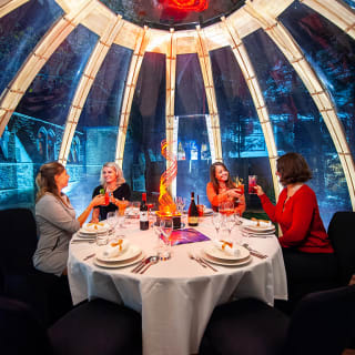 Private Dome at London Secret Garden 3