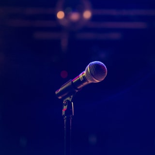 Talent Show avec Anne Roumanoff au Théâtre Naldini 1
