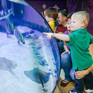 Sea Life San Antonio 5