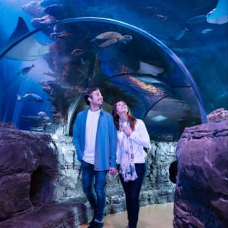 Sea Life San Antonio 1