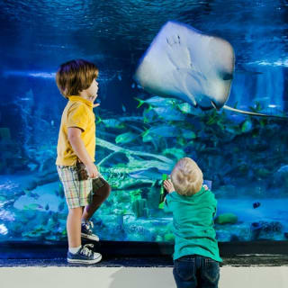 Sea Life San Antonio 3