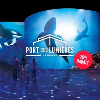 Port des Lumières Kombi-Ticket : Wunderwelt Ozean & Die niederländischen Meister 1