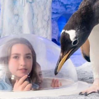 SEA LIFE London - Standard Entry 2