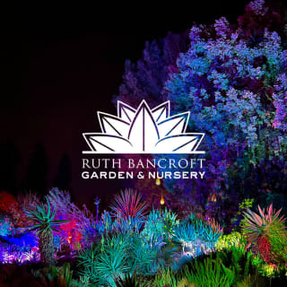 Garden of D'Lights 2