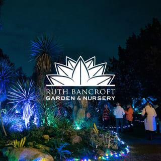 Garden of D'Lights 5