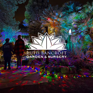 Garden of D'Lights 1