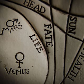 Virtual Palm and Tarot Reading 2