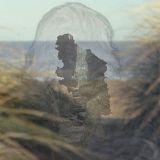 Rewilding: A Modern Myth 1
