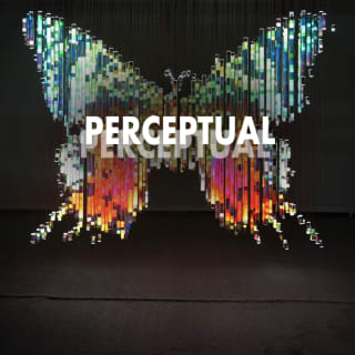 Michael Murphy’s “Perceptual Shift”: The Art Exhibition 3