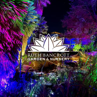 Garden of D'Lights 7