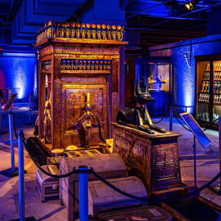 Toutânkhamon - L'expérience immersive pharaonique 5