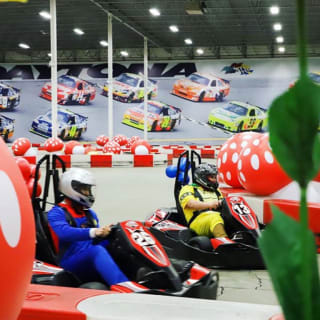 Mushroom Rally Go-Karting (NY/NJ) 3