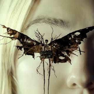 The Watchers 1