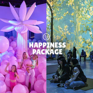 Happiness Package: Bubble Planet + Van Gogh in Utrecht 1