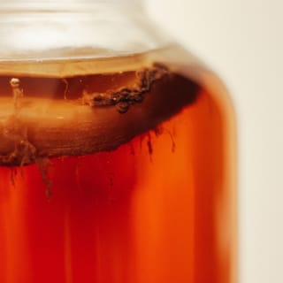 Kit MAI Kombucha: faz a tua própria Kombucha em casa 2
