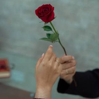 Valentine's Day Dinner at Jardinet d'Aribau 2