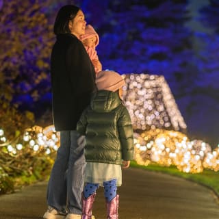 NYBG Glow: Holiday Lights Display 2