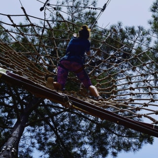 Circuito de arborismo no Adventure Park Jamor! 3