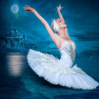 Le Lac des Cygnes à la Zenith Arena 1