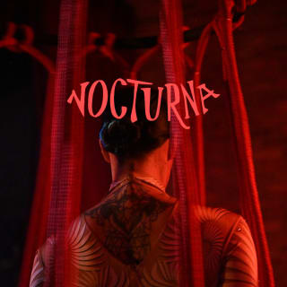 Nocturna: Dark Magic 1