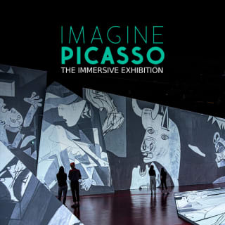 Imagine Picasso: The Immersive Exhibition 3