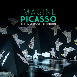 Imagine Picasso: The Immersive Exhibition 5