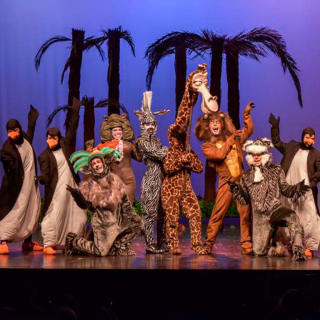 Madagáscar, Uma Aventura Musical 2