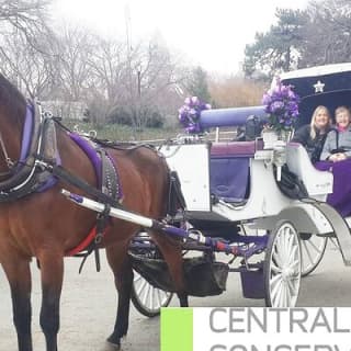 Carriage Ride in Central Park (VIP - PRIVATE) Since 1964™