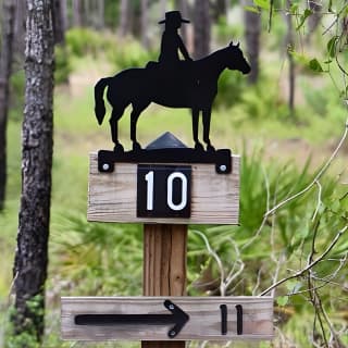 Horseback Ride on Scenic Lake Louisa Trails