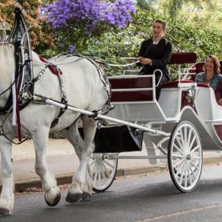 Carriage Ride in Central Park (VIP - PRIVATE) Since 1964™