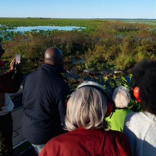 30-Minute Airboat Ride, Lunch, Gem Mining and Park Admission 