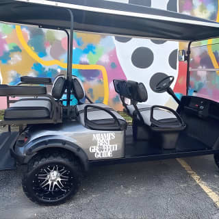 Miami's Best Graffiti Guide - VIP Golf Cart Tour - 2-5 ppl